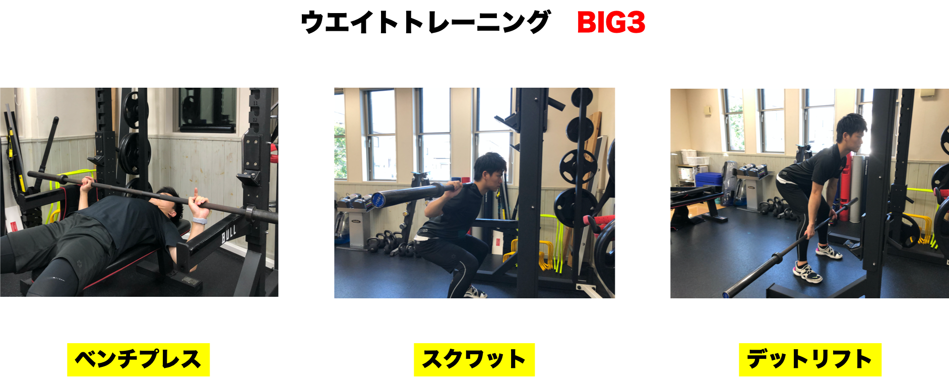 トレーナー廣瀬 ベストボディジャパンへの道のり その 栃木県佐野市のトレーニングジムkcp Training Labのブログ